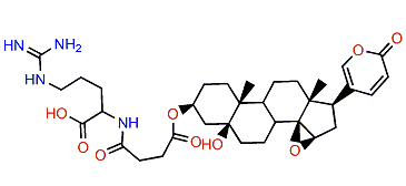 3-(N-Succinoyl argininyl)-marinobufagin